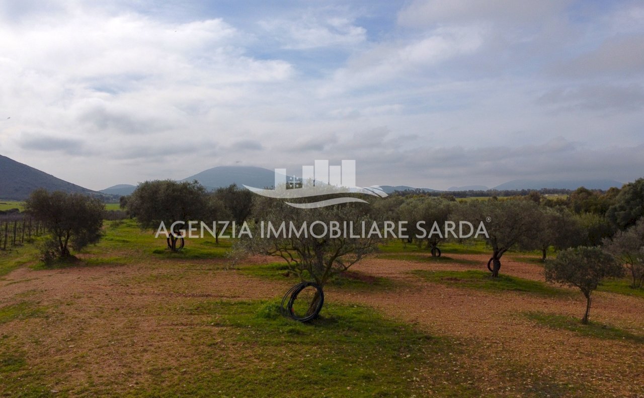 DJI_0657.JPG - Terreno edificabile Alghero - foto 3