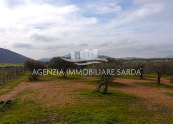 DJI_0656.JPG - Building land Alghero - photo 1