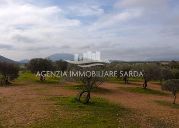 DJI_0657.JPG - Building land Alghero - photo 3