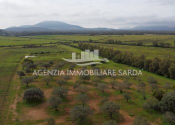 DJI_0658.JPG - Building land Alghero - photo 4