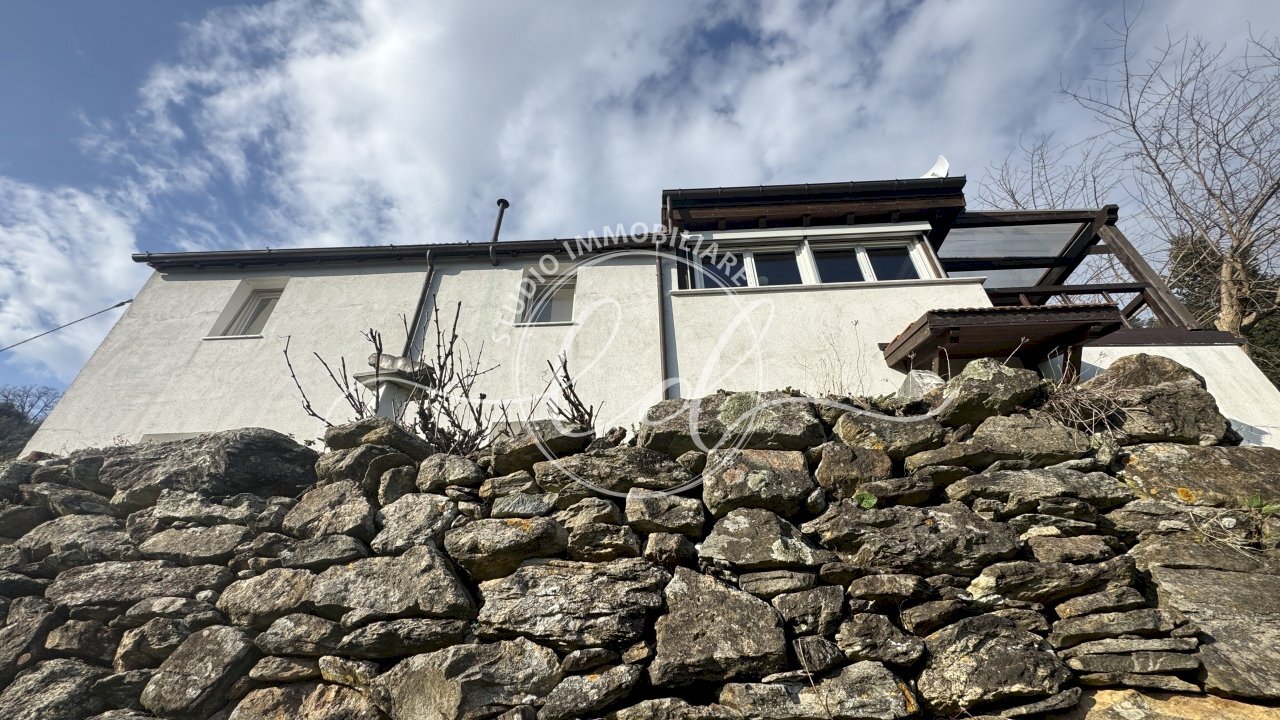 IMG_4679.JPG - Independent house Stazzema - photo 1