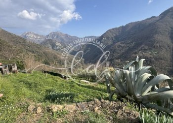 IMG_4683.JPG - Independent house Stazzema - photo 6