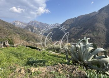 IMG_4684.JPG - Independent house Stazzema - photo 7