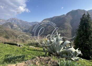 IMG_4685.JPG - Independent house Stazzema - photo 8