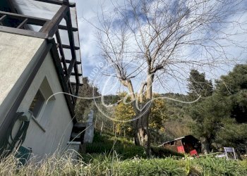 IMG_4687.JPG - Independent house Stazzema - photo 10