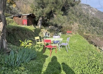 IMG_4689.JPG - Independent house Stazzema - photo 12