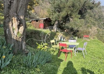 IMG_4690.JPG - Independent house Stazzema - photo 13