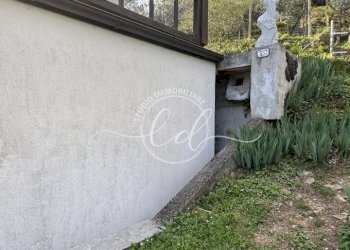 IMG_4692.JPG - Independent house Stazzema - photo 15