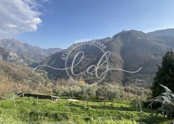 IMG_4694.JPG - Independent house Stazzema - photo 17