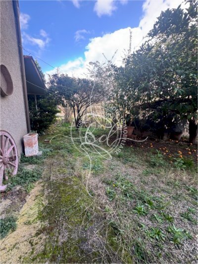 IMG_4440 3.JPG - Portion of a house Seravezza - photo 2