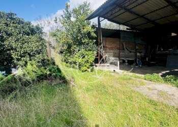 IMG_4421.jpg - Portion of a house Seravezza - photo 8