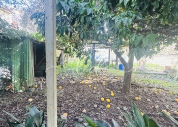 IMG_4432 3.jpg - Portion of a house Seravezza - photo 20