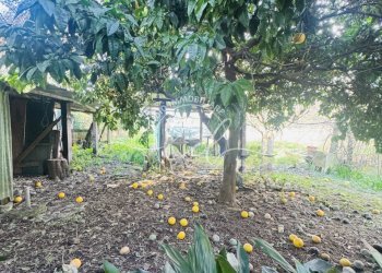 IMG_4433 3.jpg - Portion of a house Seravezza - photo 21