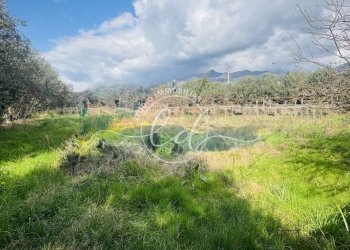 IMG_4434 3.jpg - Portion of a house Seravezza - photo 22