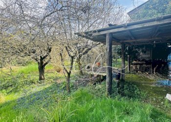 IMG_4436 3.jpg - Portion of a house Seravezza - photo 24