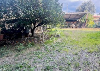 IMG_4439 3.jpg - Portion of a house Seravezza - photo 27