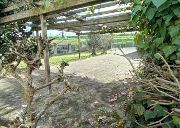 giardino - Porzione di casa Boara Pisani - foto 5