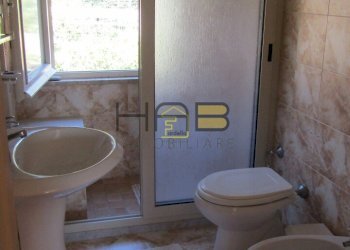 Image00020.jpg - Trilocale Erice - foto 9