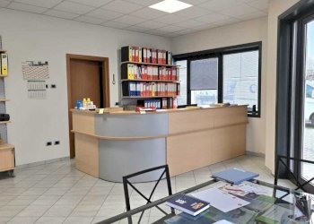 1.jpeg - Capannone Via Galileo Galilei 14, Sissa Trecasali - foto 18