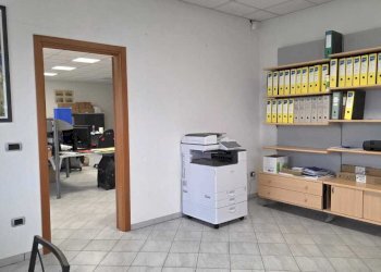 4.jpeg - Capannone Via Galileo Galilei 14, Sissa Trecasali - foto 20