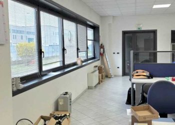 11.jpeg - Capannone Via Galileo Galilei 14, Sissa Trecasali - foto 25