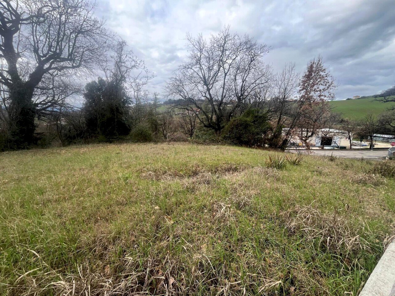 Terreno edificabile Trecastelli - foto 3