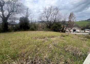 Terreno edificabile Trecastelli - foto 3