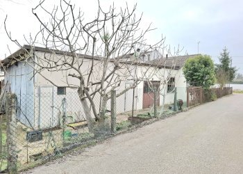 20260305_085424.jpg - Casa indipendente Via Cà Matte 27, Rovigo - foto 5