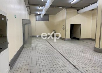 Capannone Viadotto Malopasso, Marcellinara - foto 19