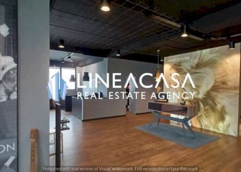 Laboratorio via Carlo Galeno 6, Corsico - foto 19