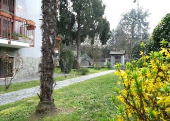 Bilocale Via Turati, Segrate - foto 20