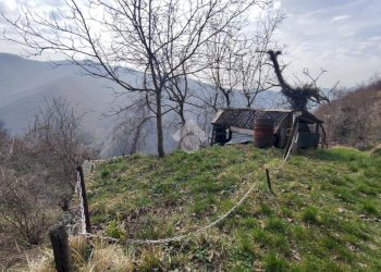 Semi-detached house Località Chiappa, Valbrevenna - photo 38