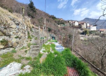 Semi-detached house Località Chiappa, Valbrevenna - photo 21