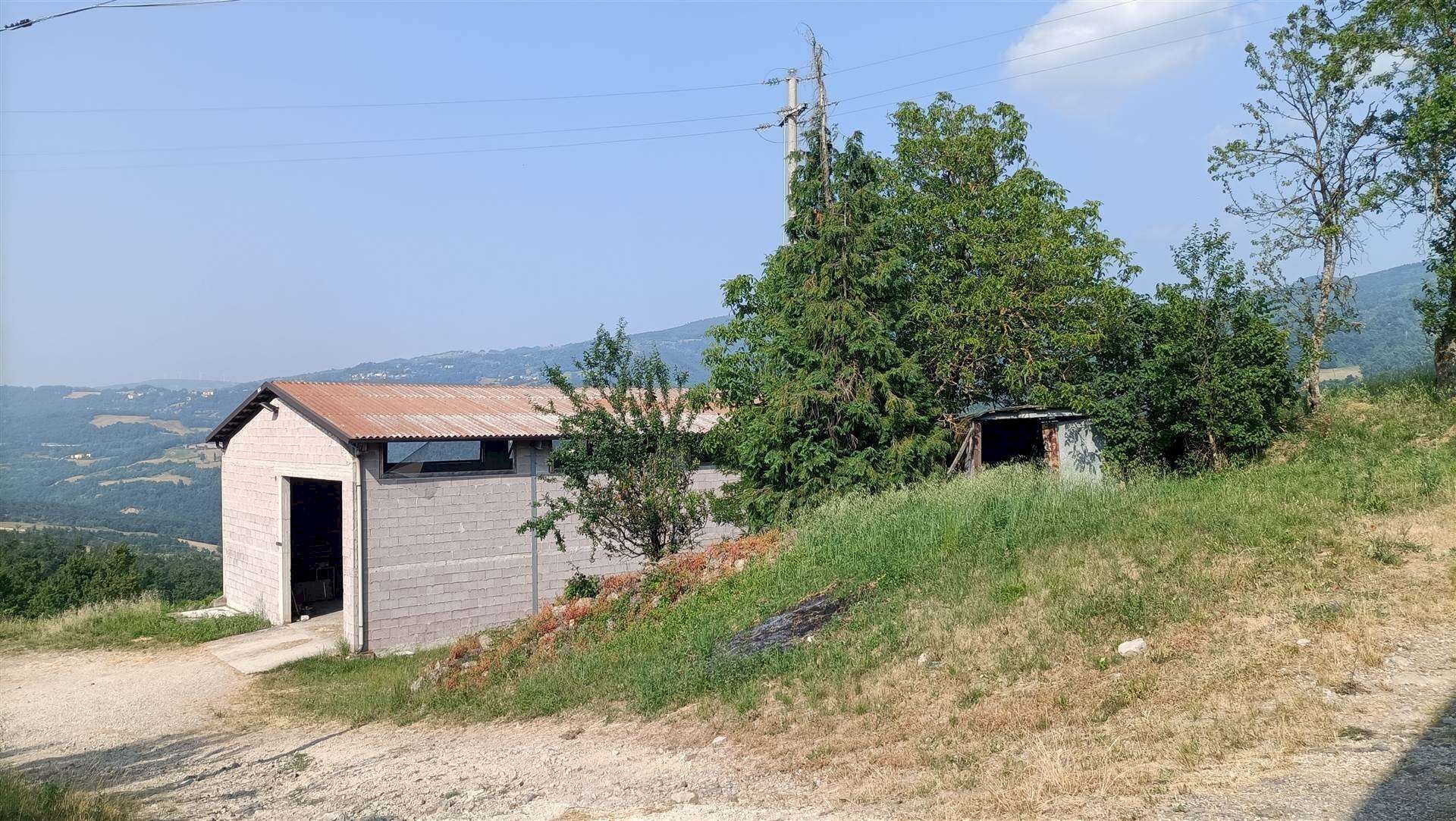 Azienda agricola Via Sparvo 14, Castiglione dei Pepoli - foto 1