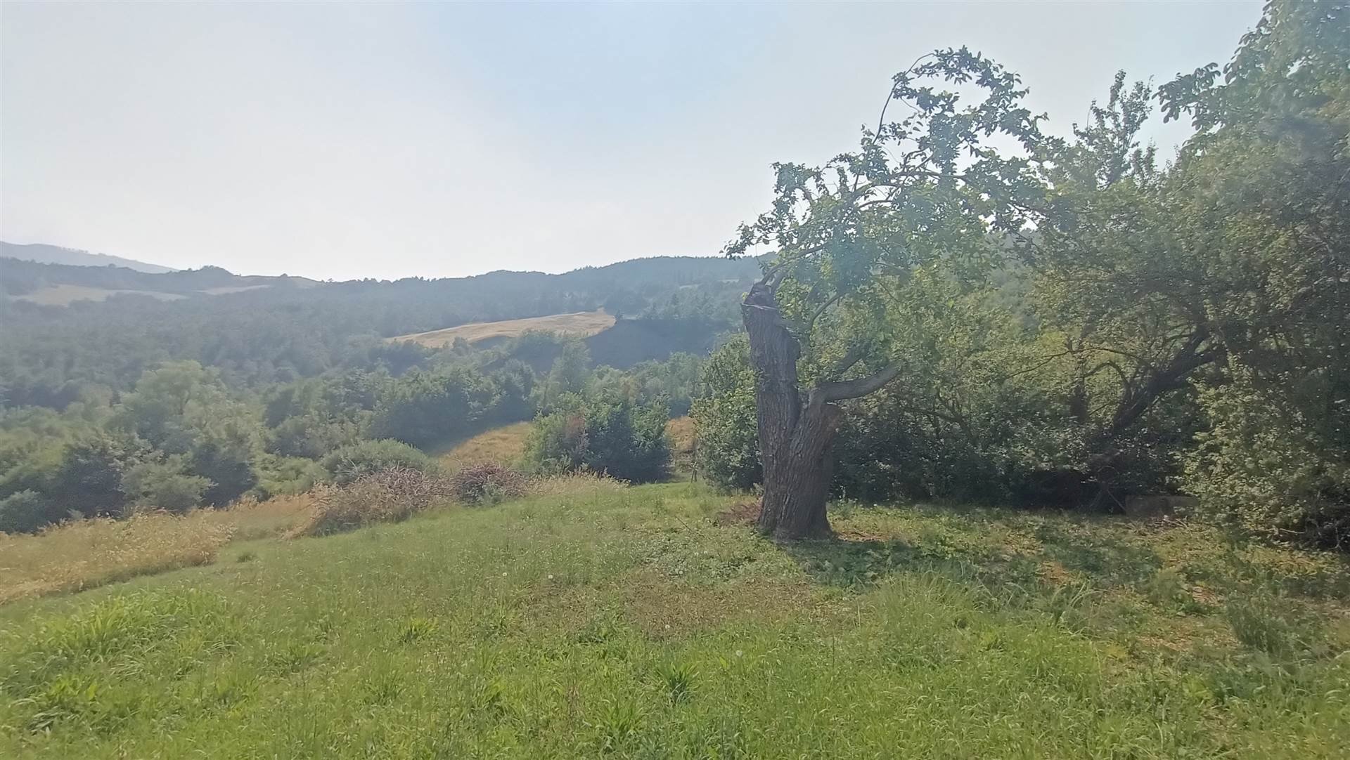 Azienda agricola Via Sparvo 14, Castiglione dei Pepoli - foto 3