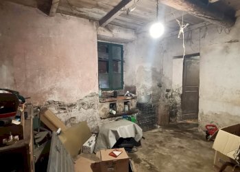 Azienda agricola Via Sparvo 14, Castiglione dei Pepoli - foto 21