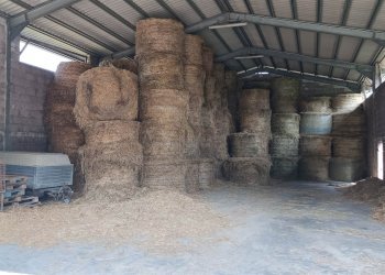 Azienda agricola Via Sparvo 14, Castiglione dei Pepoli - foto 23