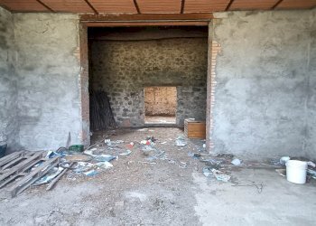 Azienda agricola Via Sparvo 14, Castiglione dei Pepoli - foto 24
