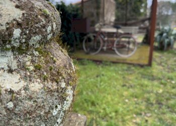 Quadrilocale Sorano - foto 31