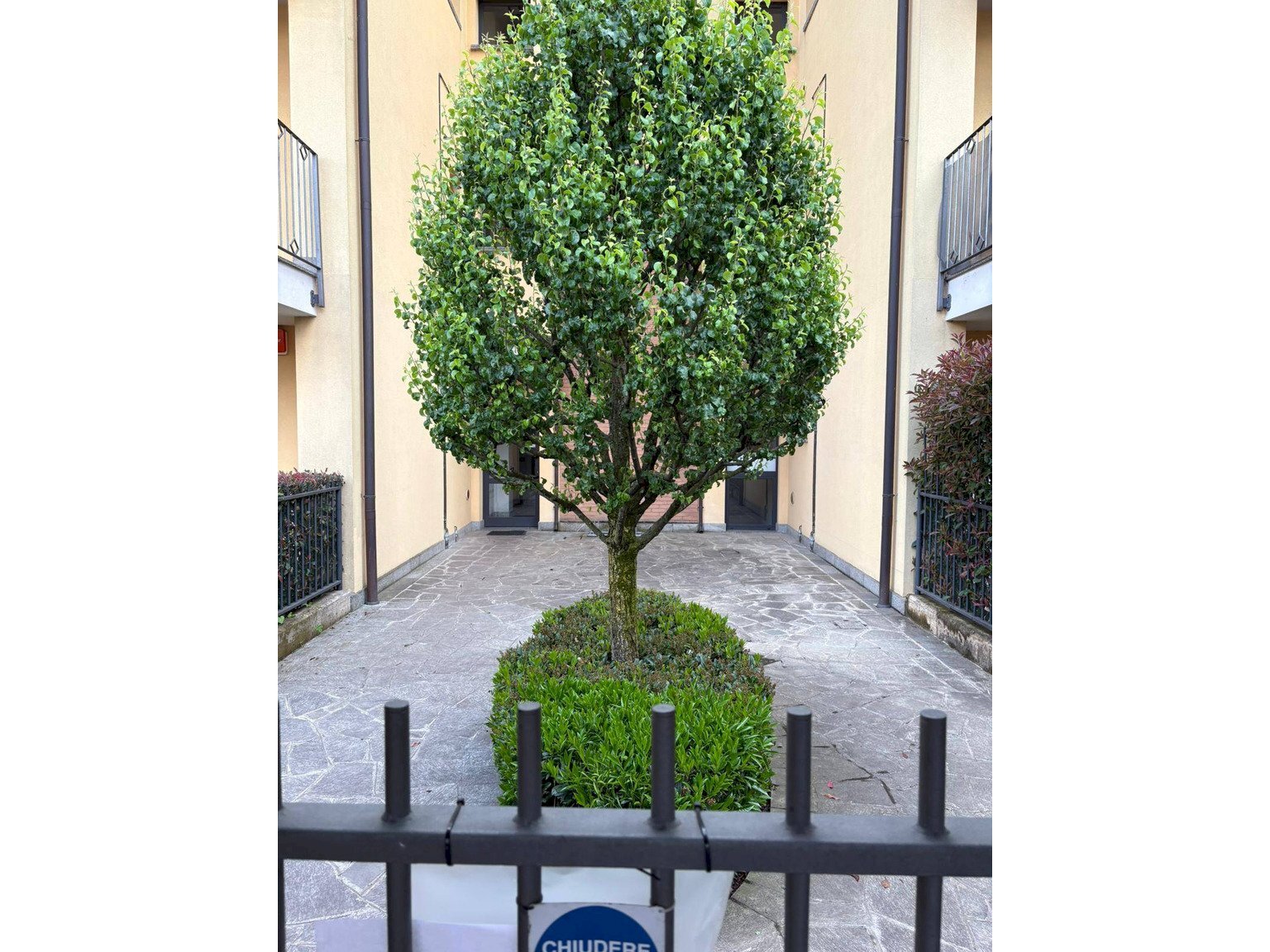 Three-room apartment Cornate d'Adda - photo 2