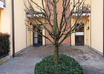 Three-room apartment Cornate d'Adda - photo 1