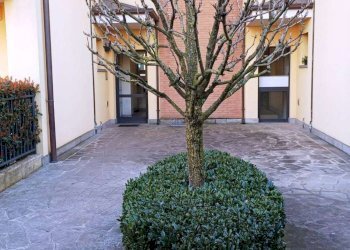 Three-room apartment Cornate d'Adda - photo 26