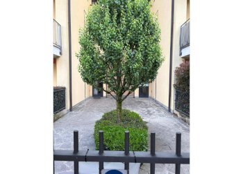 Three-room apartment Cornate d'Adda - photo 2