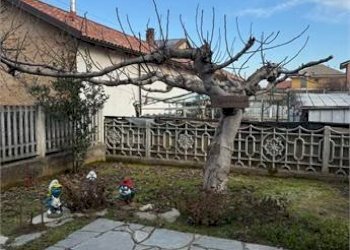 Quadrilocale Rivalta di Torino - foto 32