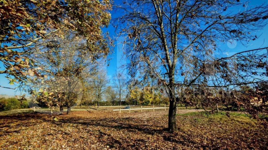 Terreno edificabile San Giovanni in Persiceto - foto 2
