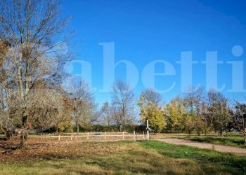 Terreno edificabile San Giovanni in Persiceto - foto 1