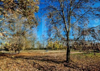 Terreno edificabile San Giovanni in Persiceto - foto 2