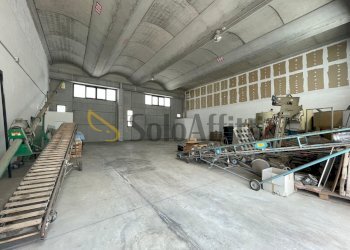 IMG-20250605-WA0001.jpg - Capannone Maddaloni - foto 1