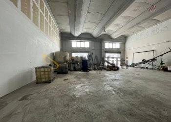 IMG-20250605-WA0003.jpg - Capannone Maddaloni - foto 3