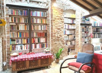 20260306_150809.jpg - Attico Via Massimo D'Azeglio SNC, Parma (zona Oltretorrente) - foto 18